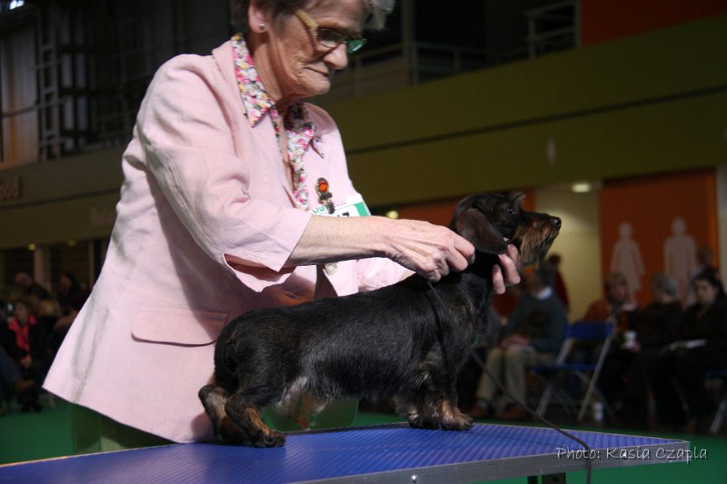 Crufts2010 651.jpg